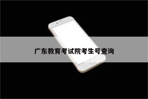 广东教育考试院考生号查询