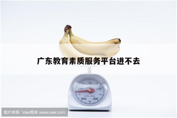 广东教育素质服务平台进不去