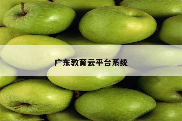 广东教育云平台系统
